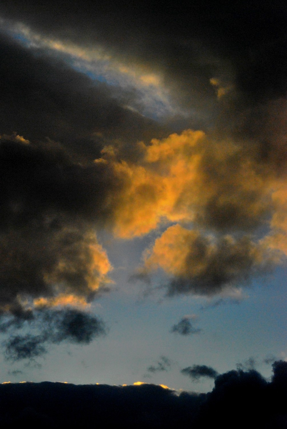 2010 cm1 095 1