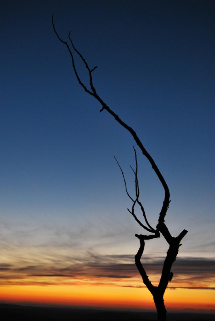 2012CM2_204