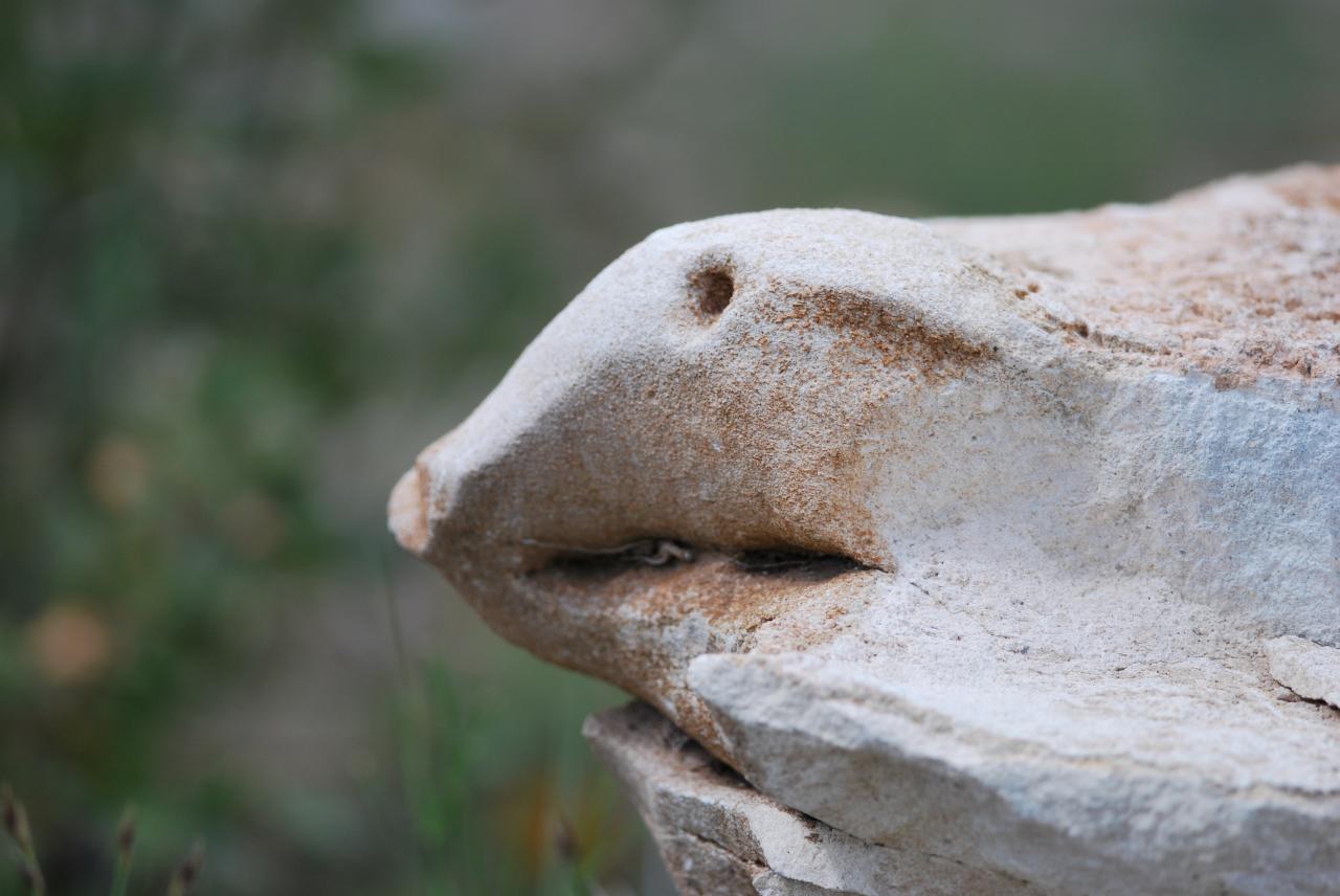 2014CM1_060