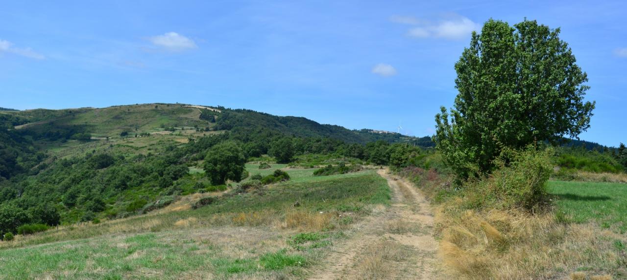 2016 D610 3 099 1 Auvergne