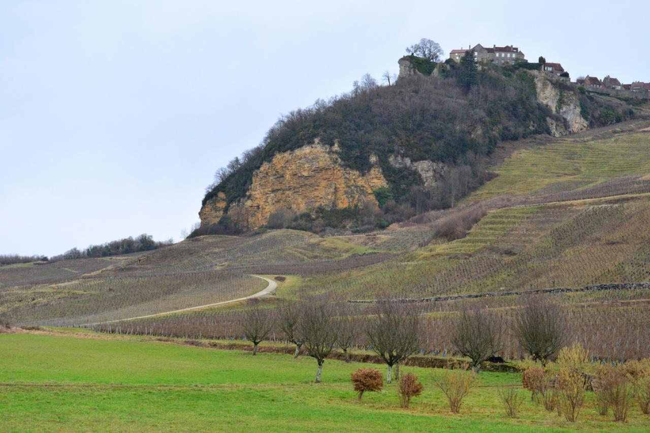 2017 D610 1 003 1 Chateau Chalon