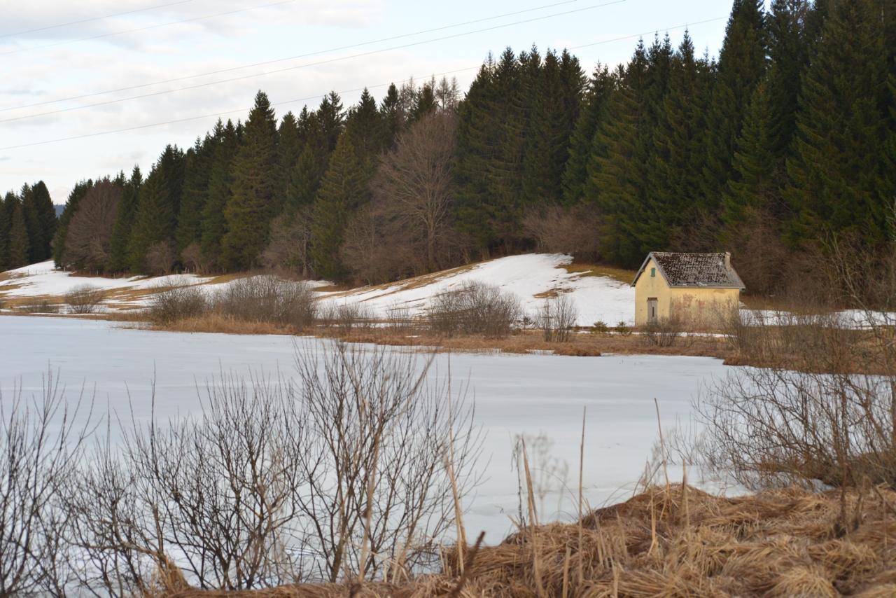 2017 D610 1 033 Lac de l'abbaye