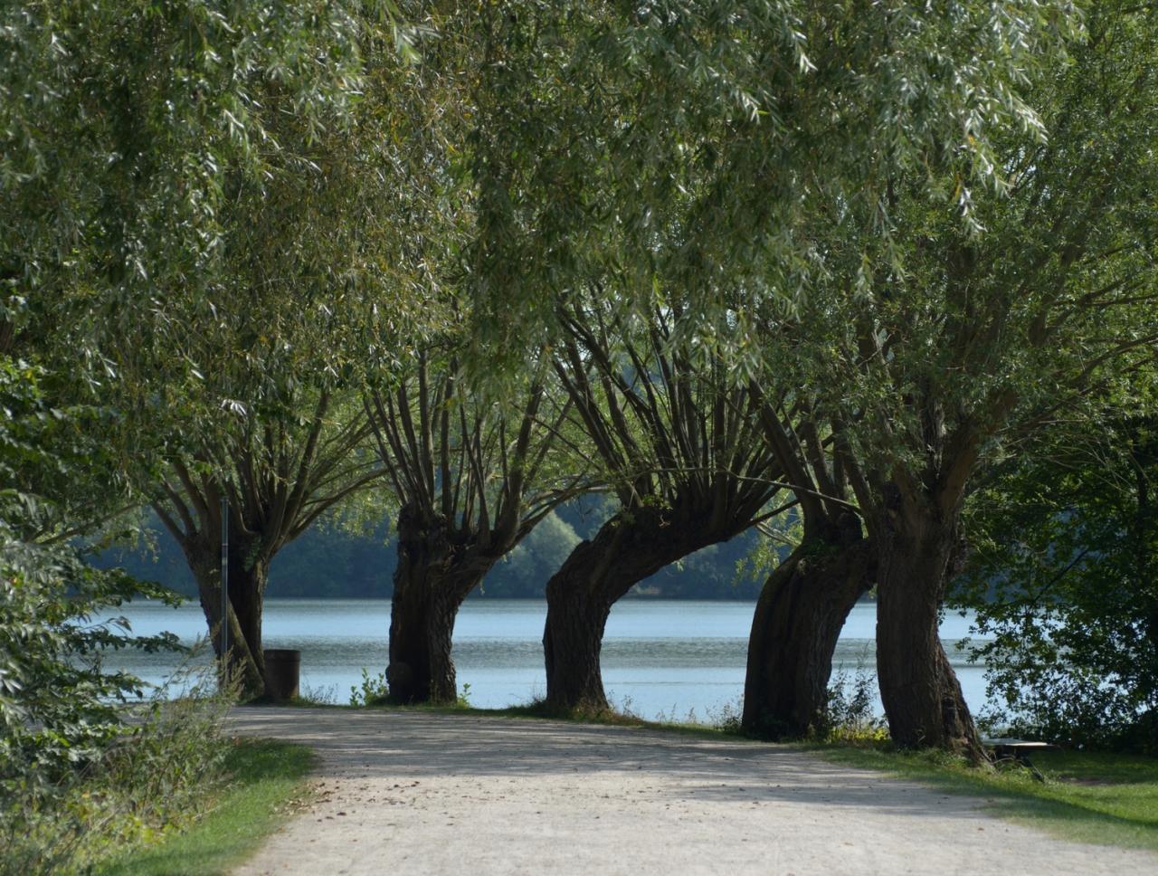 2017 D610 3 247 1 Lac du Héron