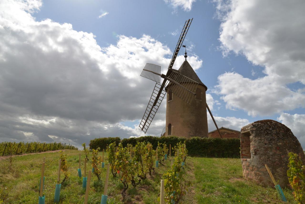 2017 D610 4 049 1 Moulin à Vent Romanèche-Thorins