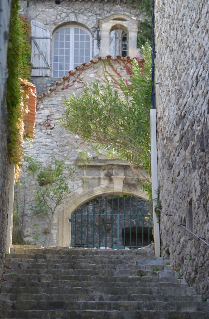 2017 D610 4 208 1 Vaison-la-Romaine