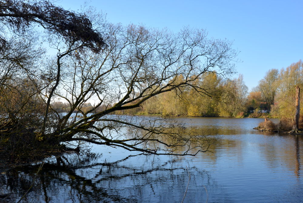 2017 D610 5 042 1 marais de la Marque