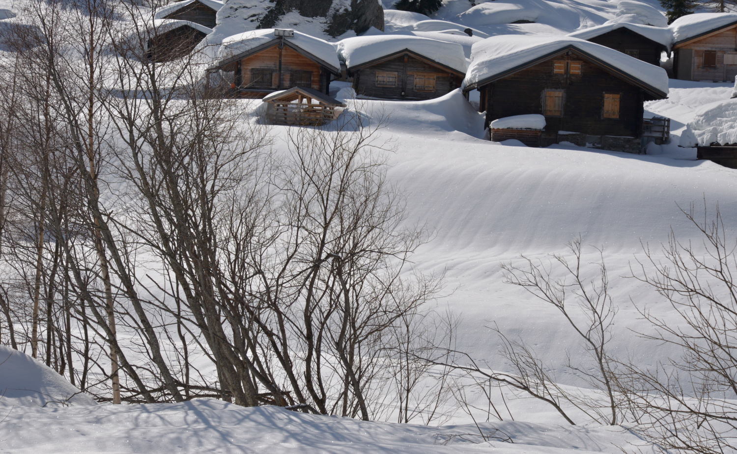2018 D610 1 033 1 neige