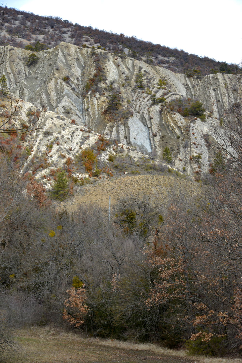 2018 D610 1 124 1 Serre de l'âne