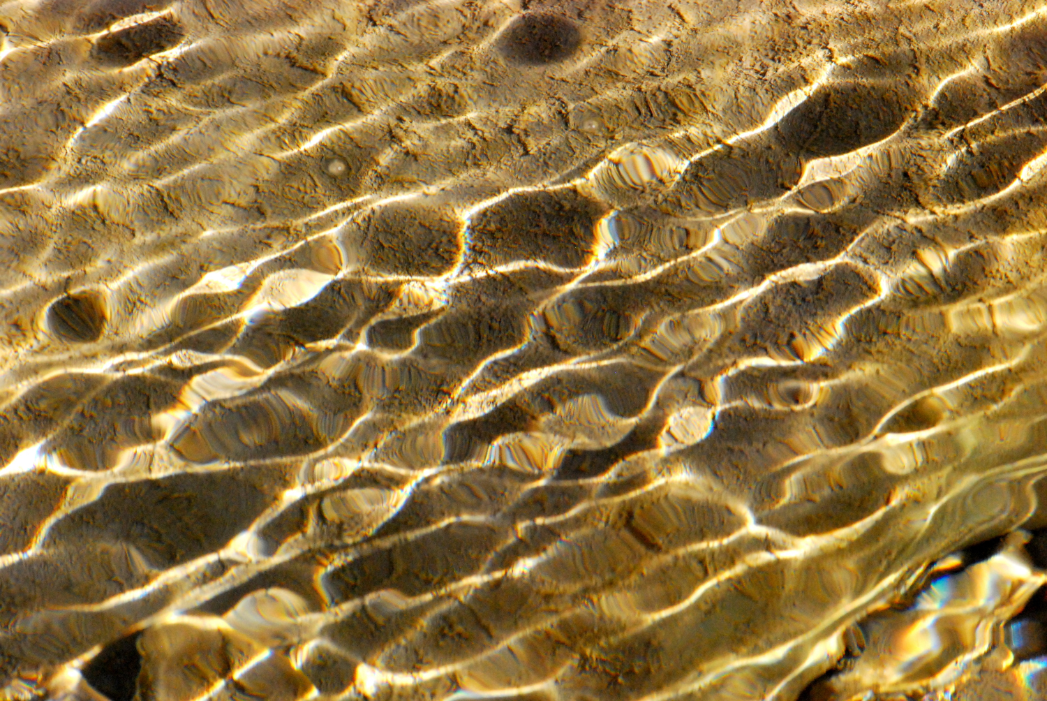 2019 D60 2_019 1