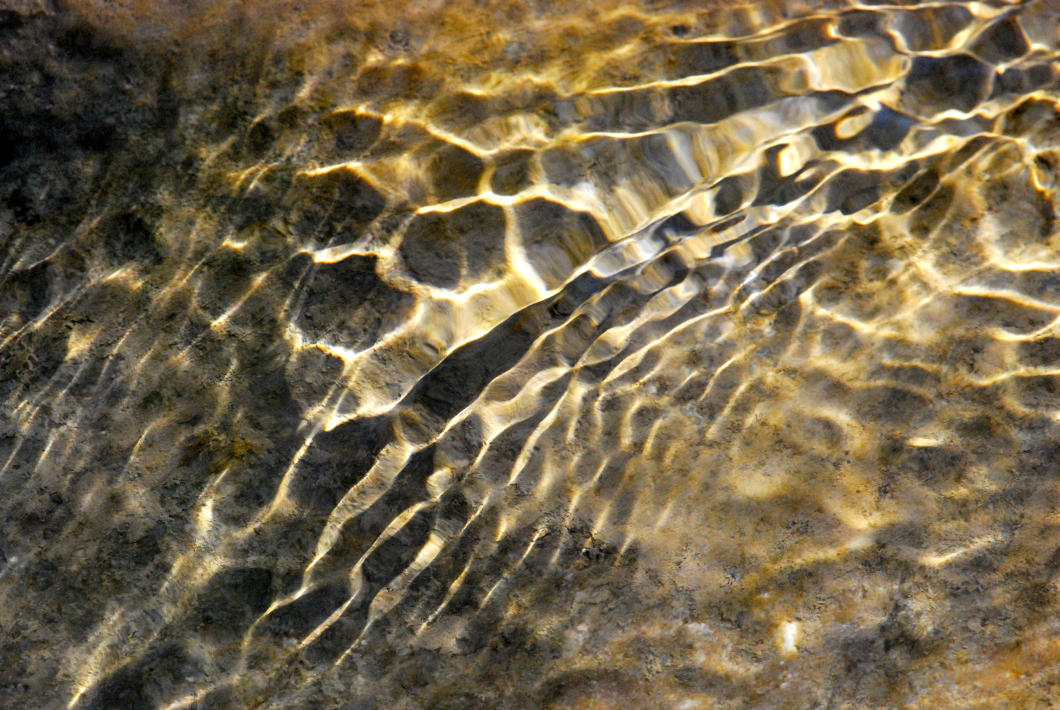 2019 D60 2_025 1