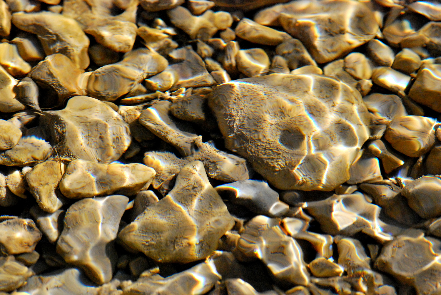2019 D60 2_027 1