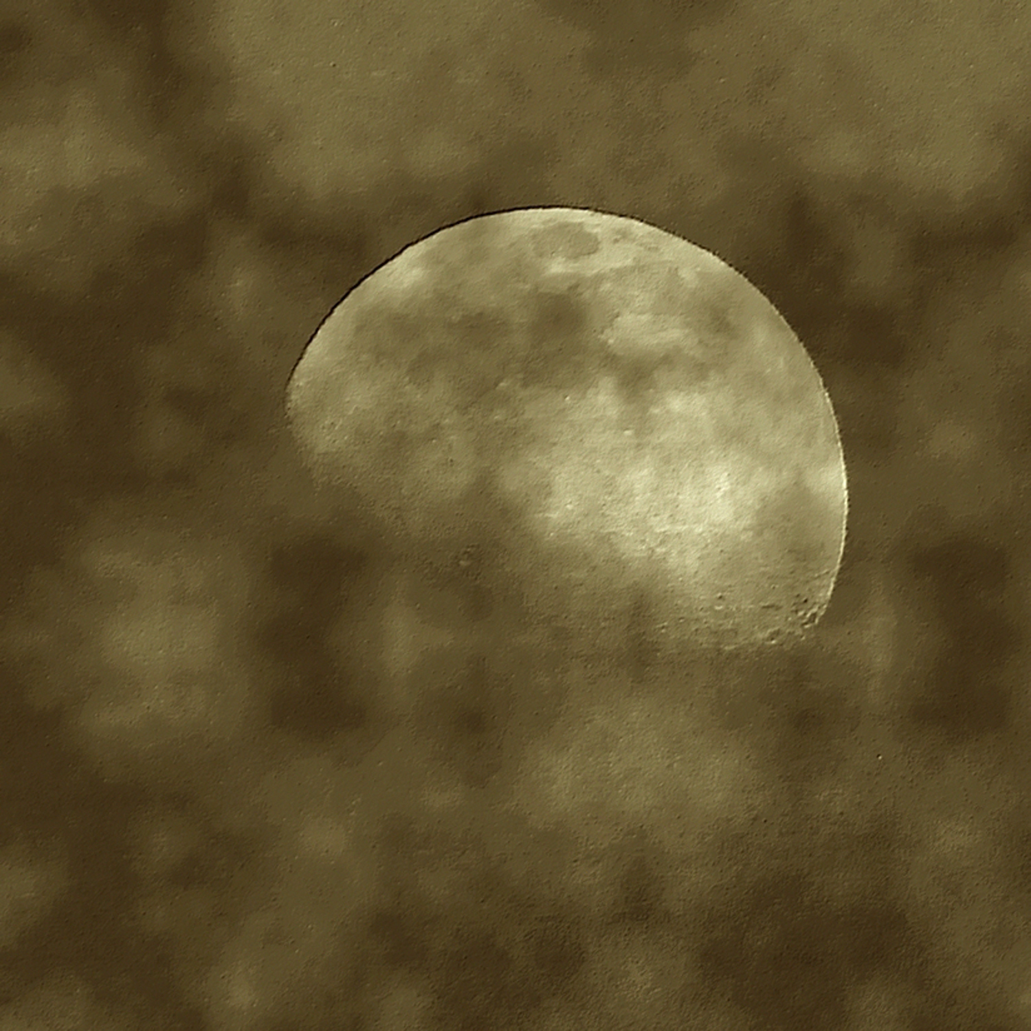 2019 D60 2_087 2