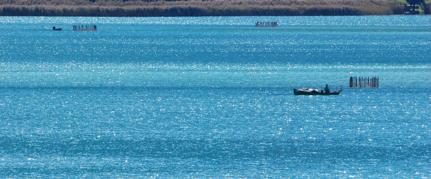2019 D60 4_041 1 lac d'Aiguebelette