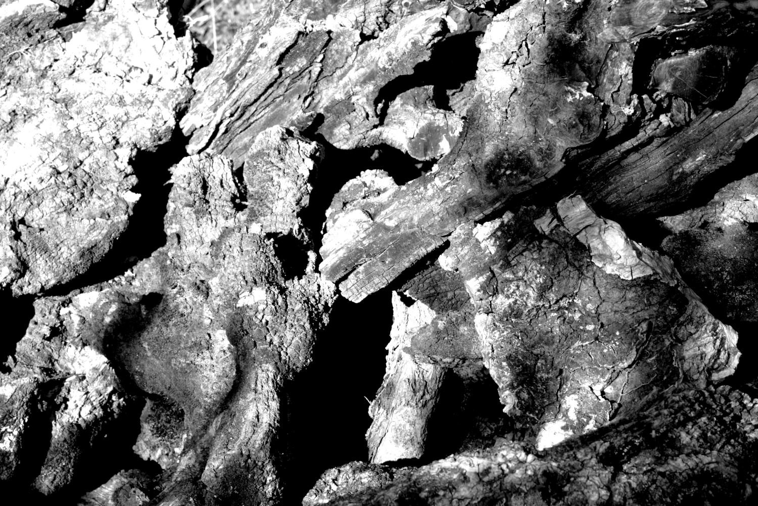 2019 D610 1_114 1