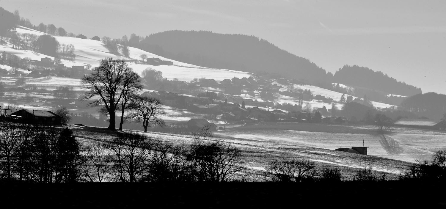 2019 D610 1_137 1