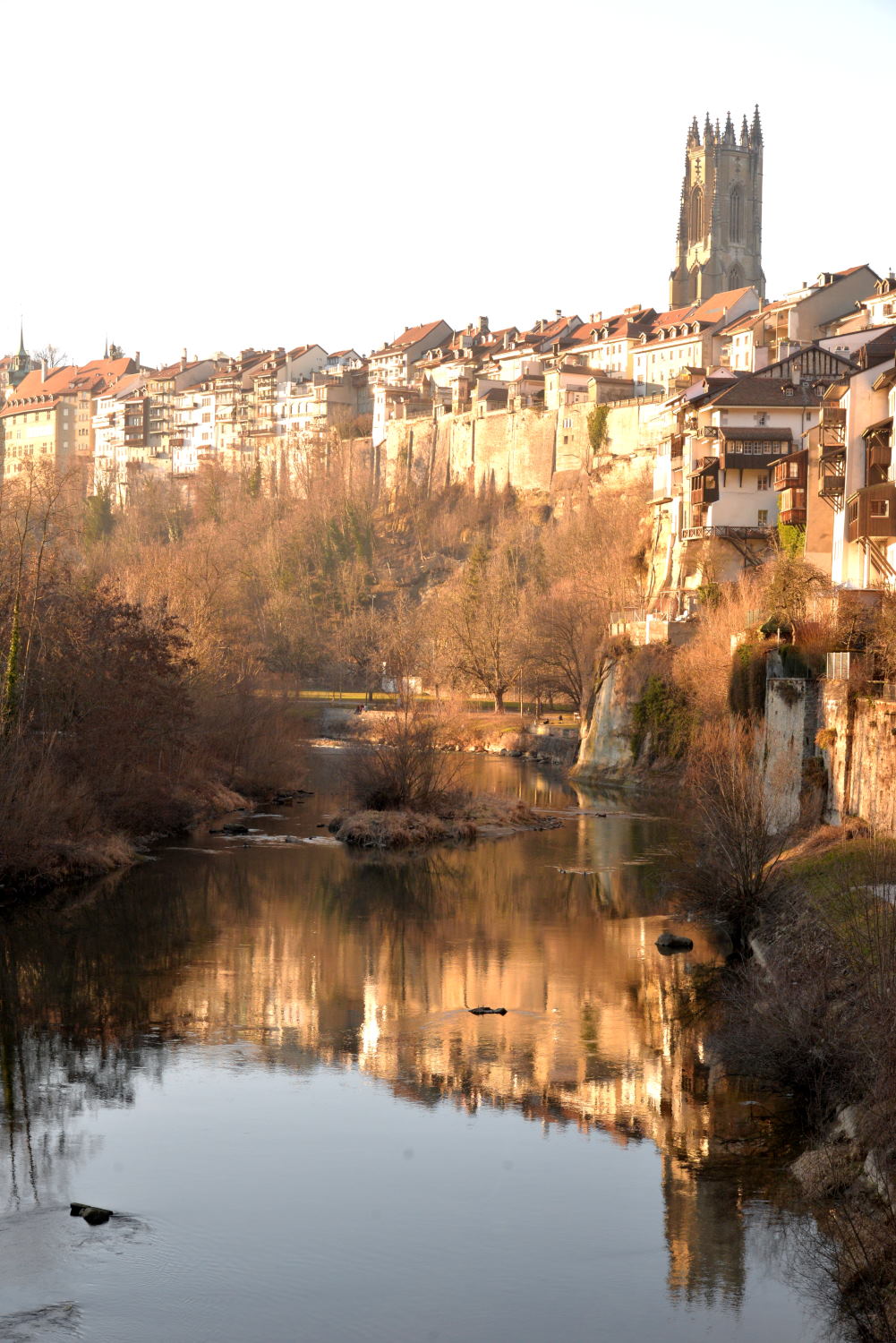 2019 D610 1_199 1 Suisse Fribourg