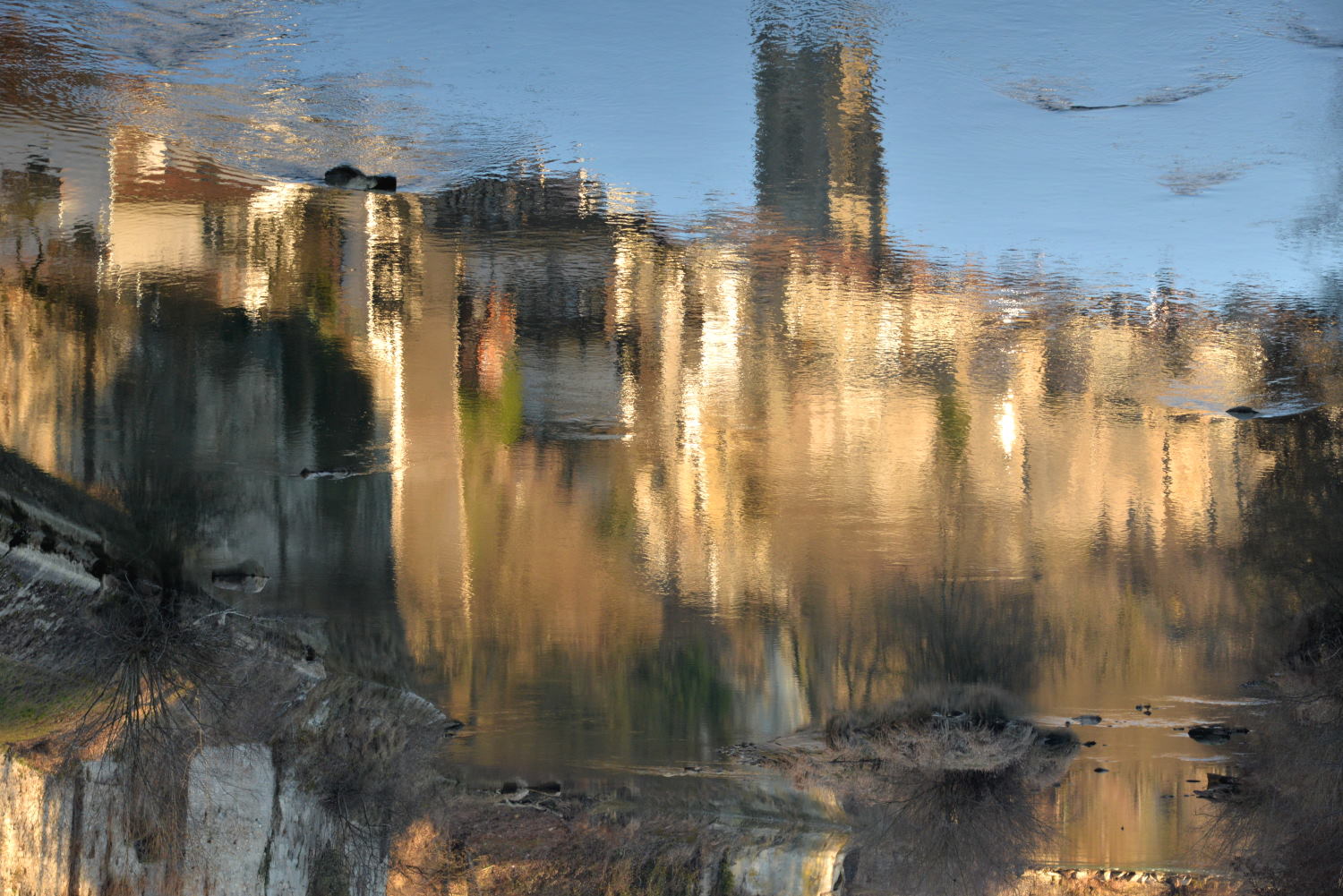 2019 D610 1_203 1 Suisse Fribourg