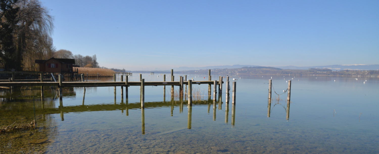 2019 D610 1_258 1 lac de Morat Suisse