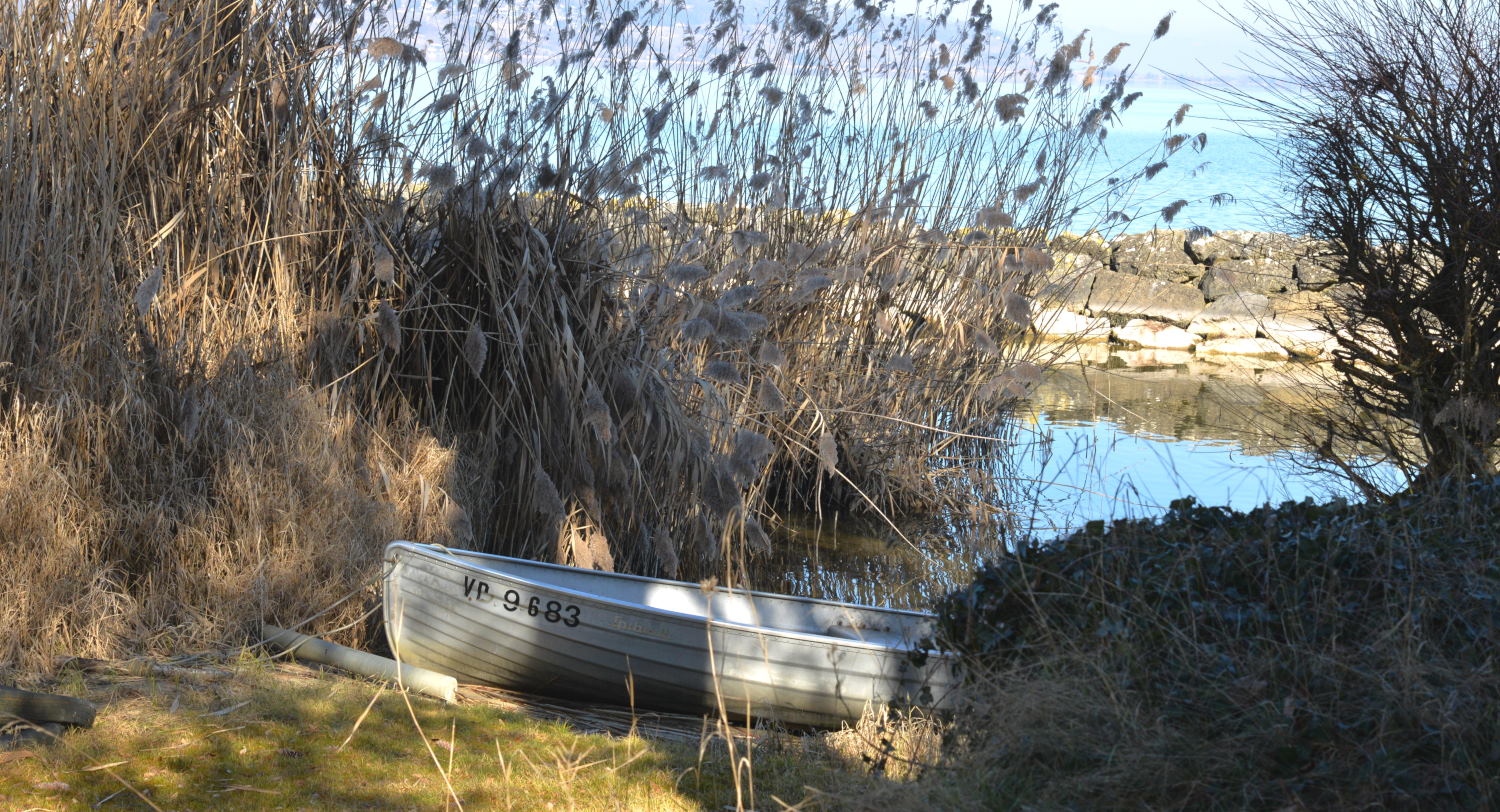 2019 D610 1_278 1 lac de Morat Suisse