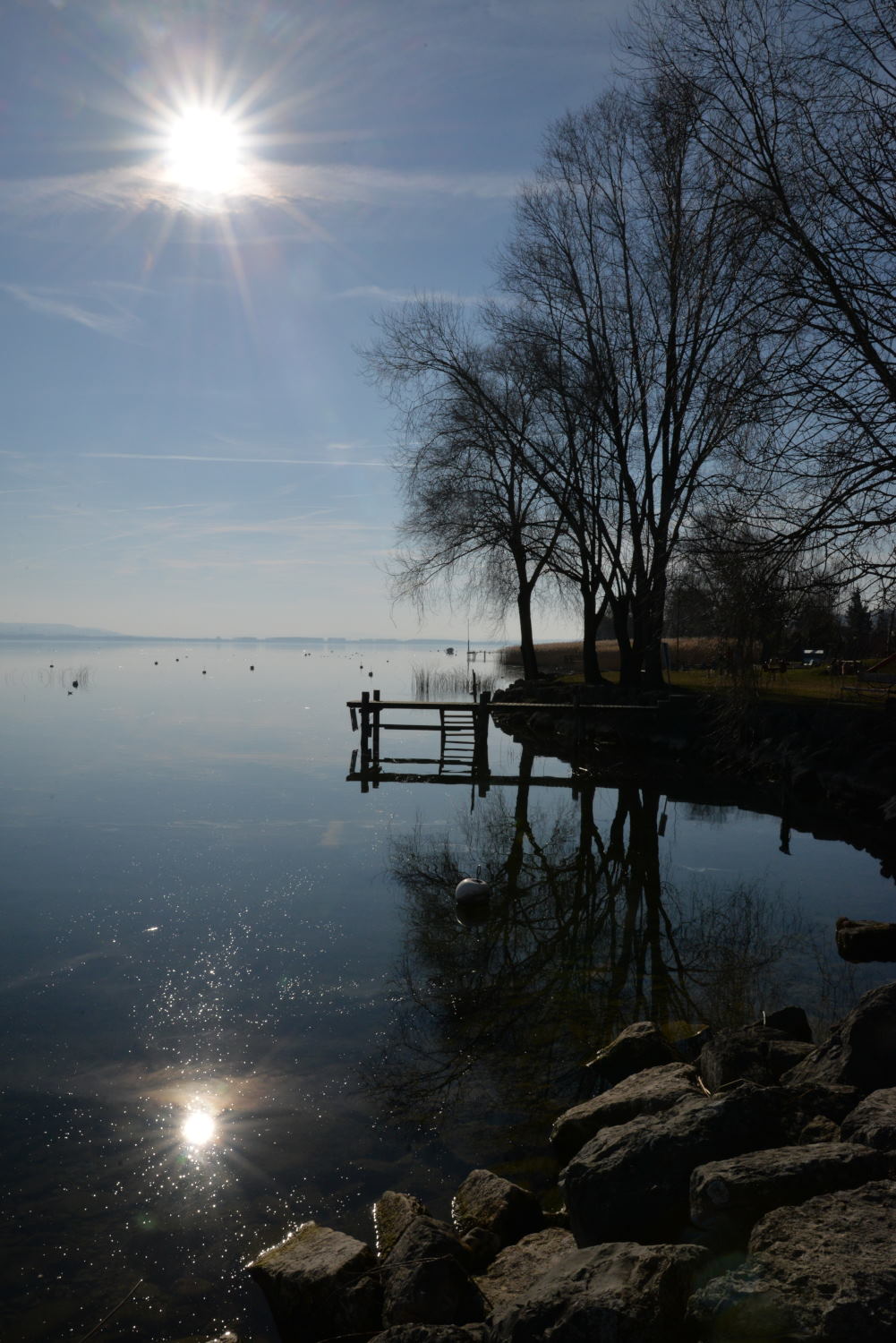 2019 D610 1_292 1 lac de Morat Suisse