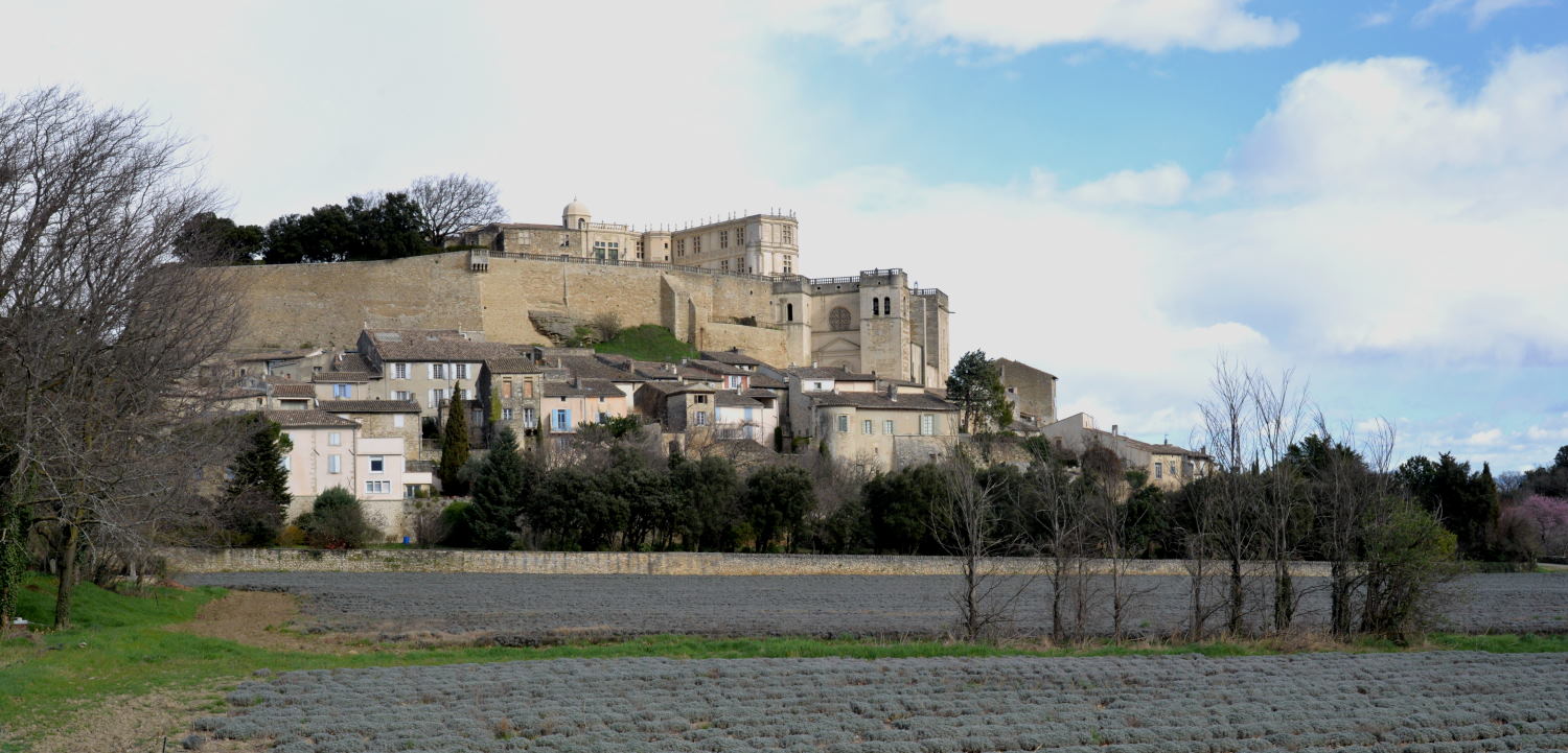 2019 D610 2_008 1 Grignan