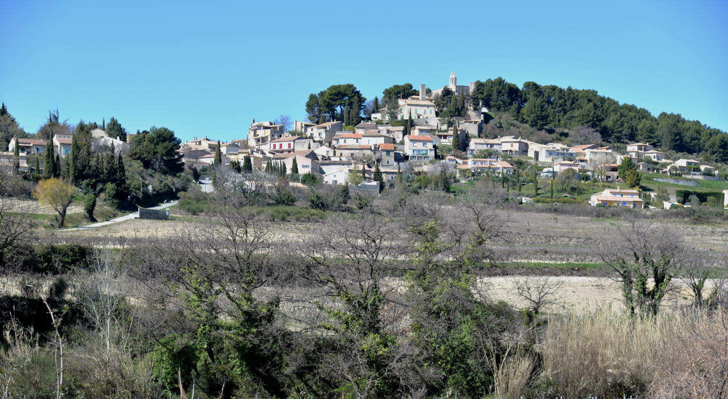 2019 D610 2_009 1 Rasteau