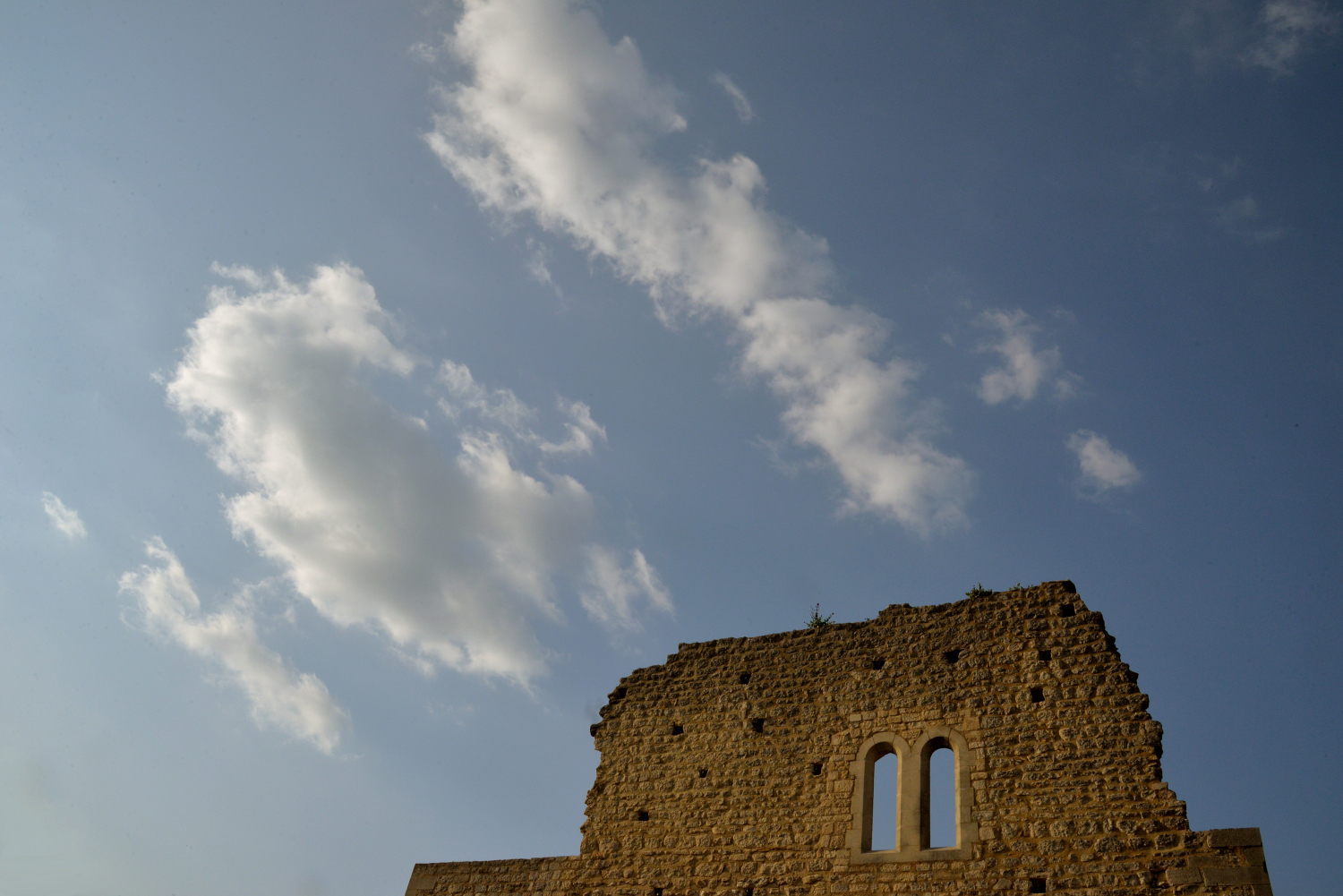 2019 D610 3_211 1 Crestet