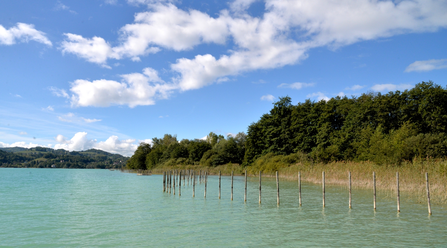 2019 D610 5_044 1 lac d'Aiguebelette.