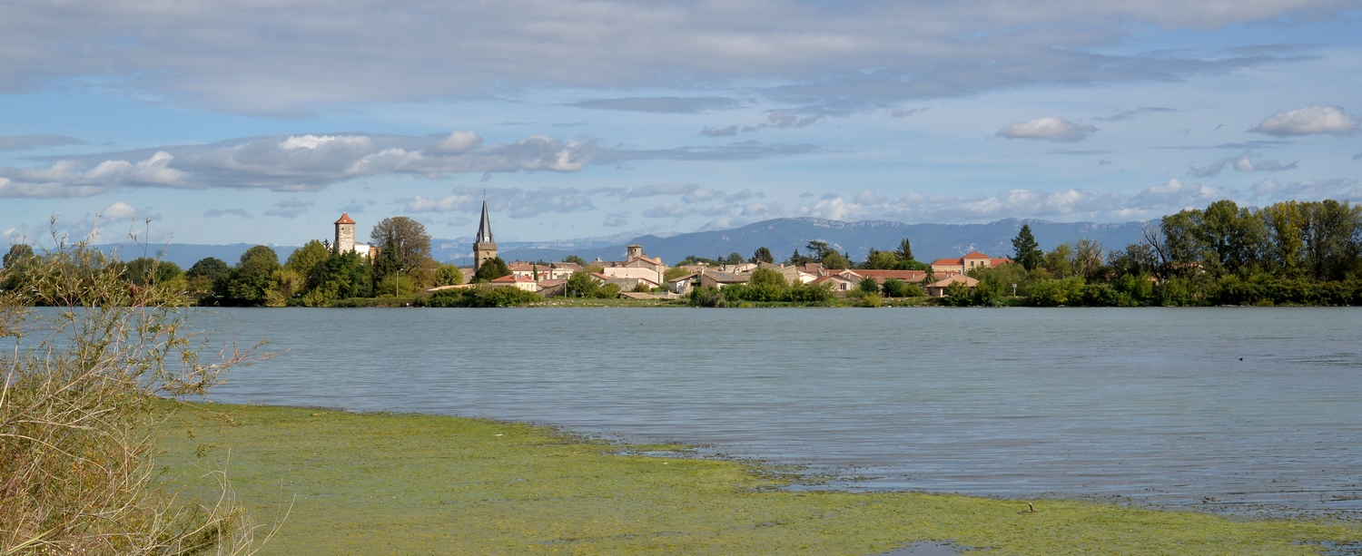2019 D610 5_133 1 Rhône La Roche de Glun