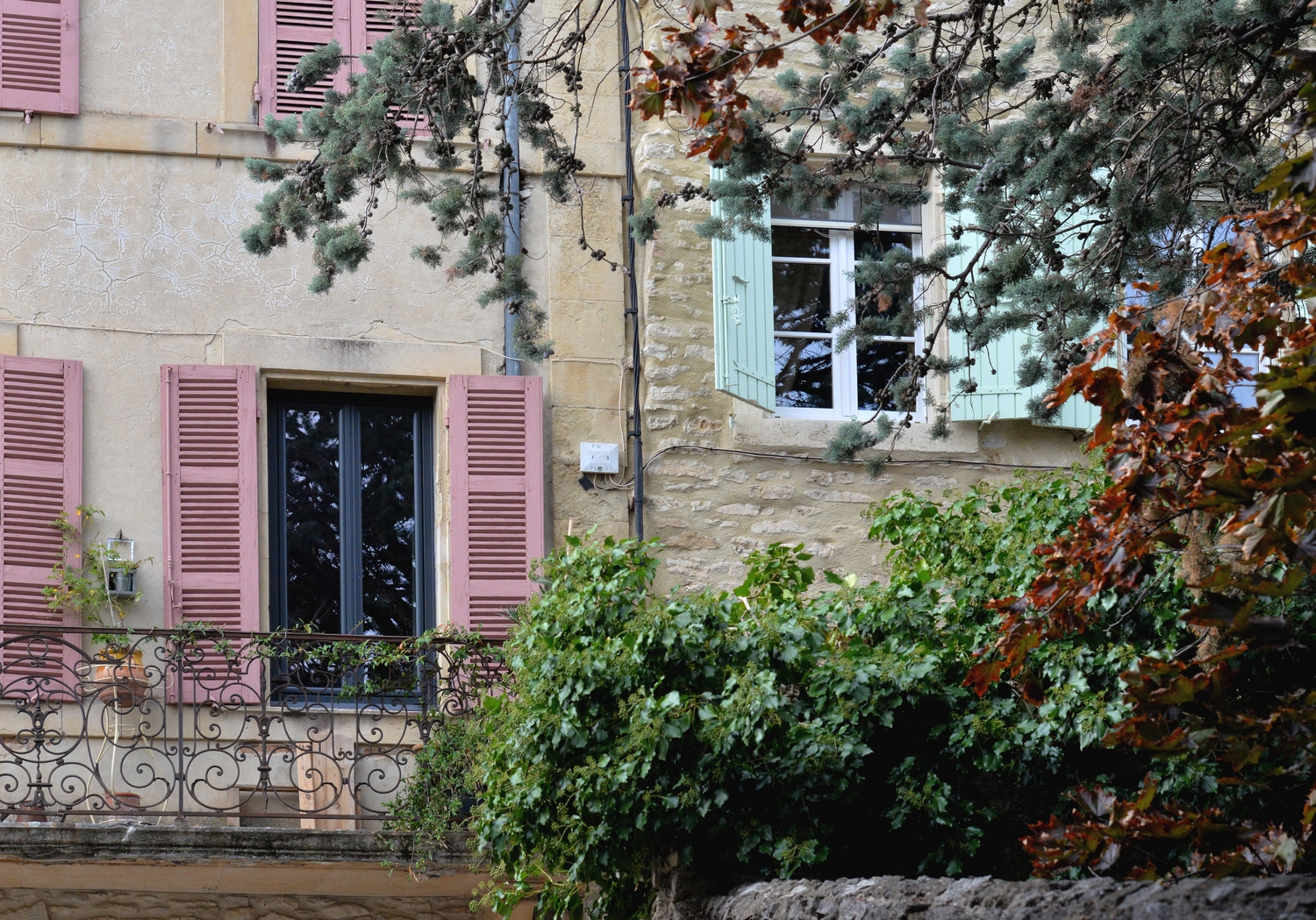 2019 D610 5_296 1 Taulignan