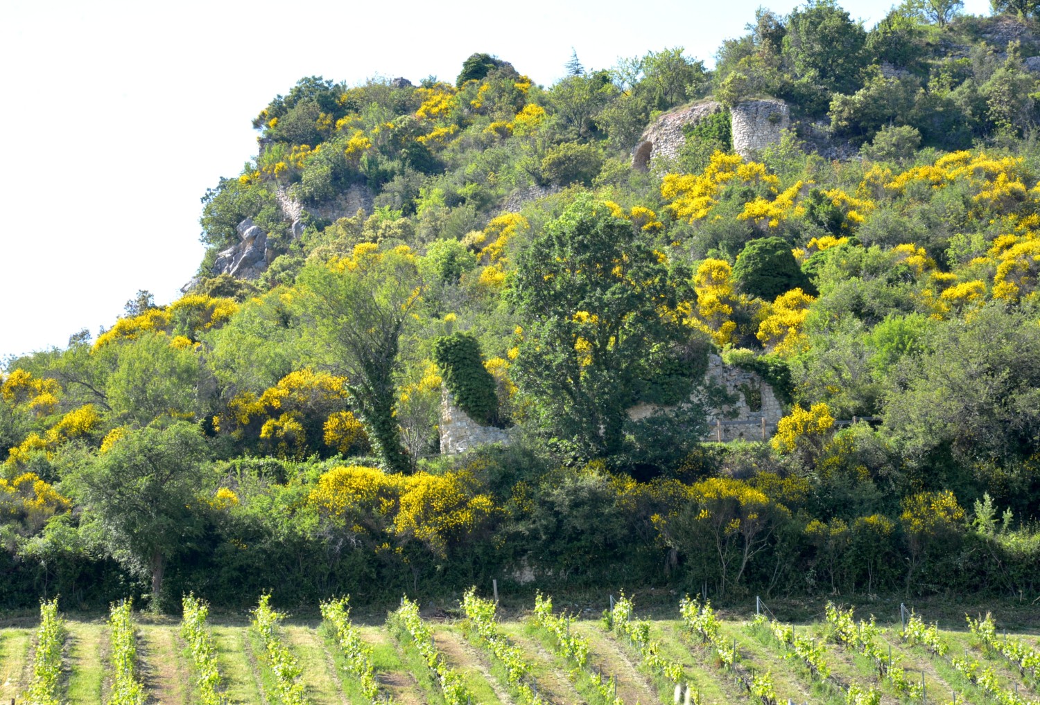 2020 d610 1 115 1 Condorcet vieux village