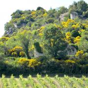 2020 d610 1 115 1 Condorcet vieux village