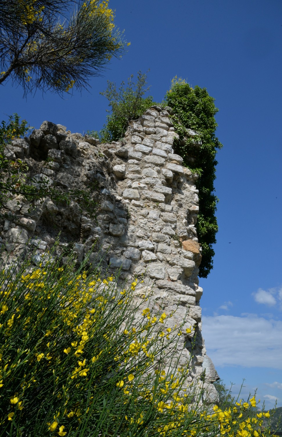 2020 d610 1 116 1 Condorcet vieux village