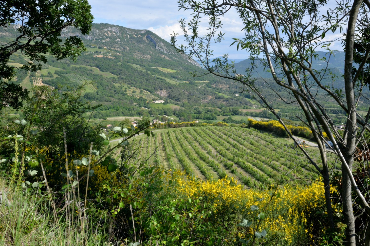 2020 d610 1 117 1 Condorcet vieux village