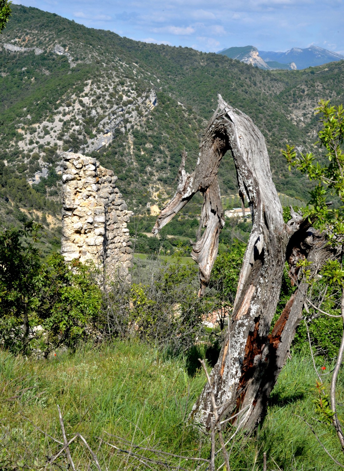 2020 d610 1 130 1 Condorcet vieux village