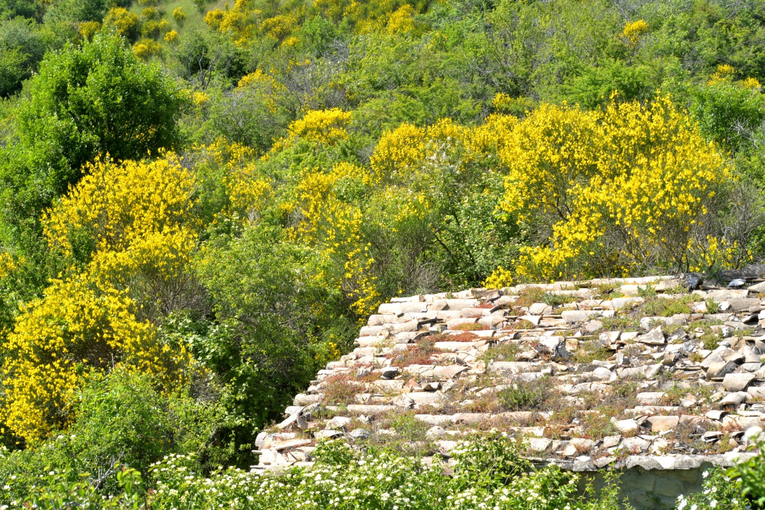 2020 d610 1 141 1 Condorcet vieux village