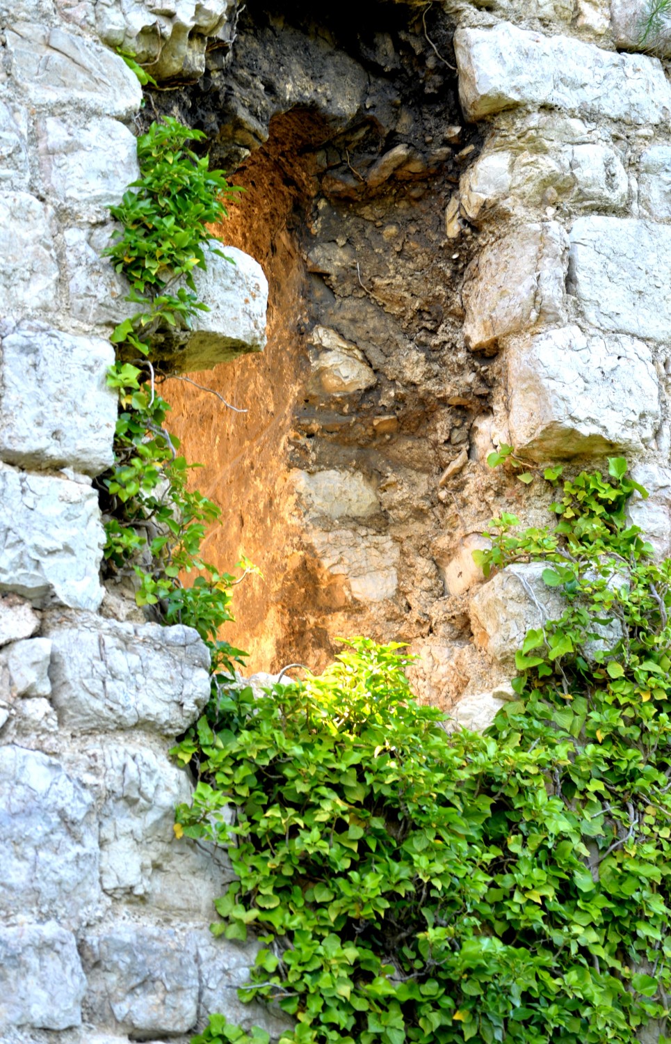 2020 d610 1 143 1 Condorcet vieux village