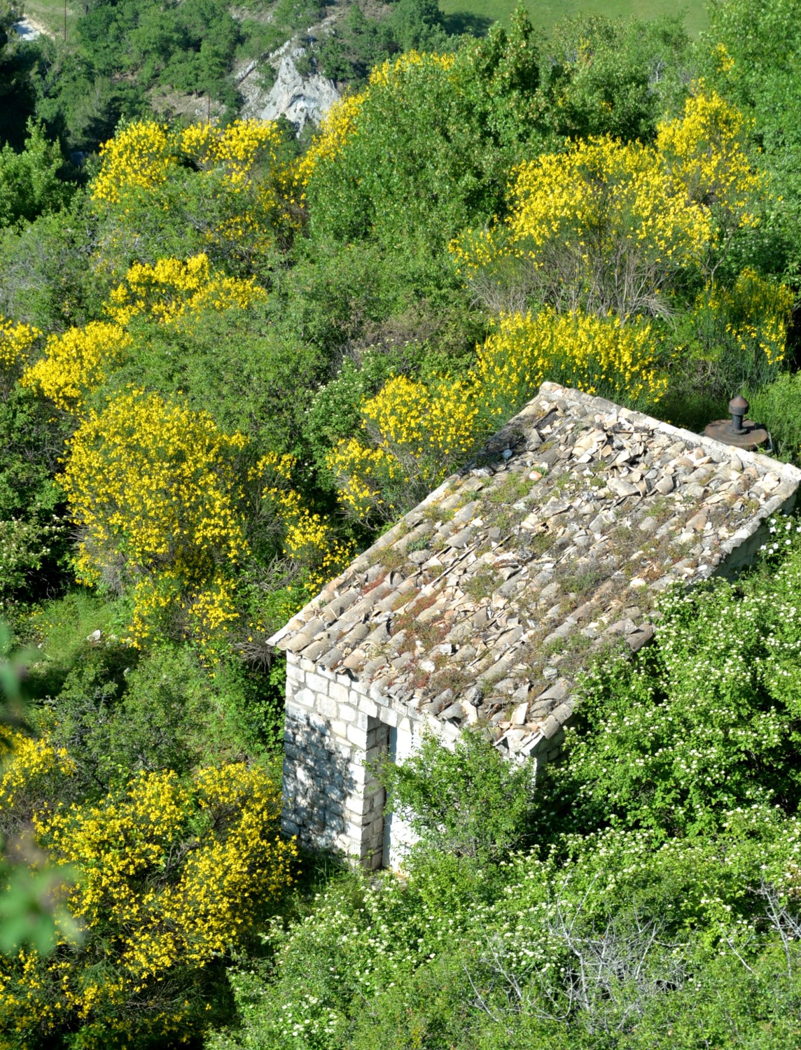 2020 d610 1 152 1 Condorcet vieux village