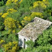 2020 d610 1 152 1 Condorcet vieux village