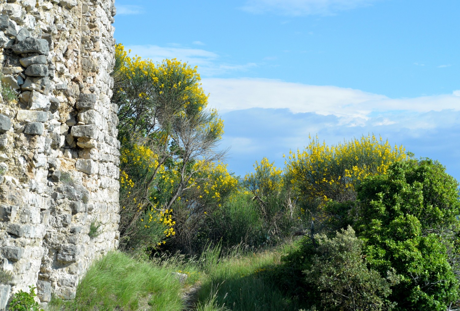 2020 d610 1 153 1 Condorcet vieux village