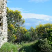 2020 d610 1 153 1 Condorcet vieux village