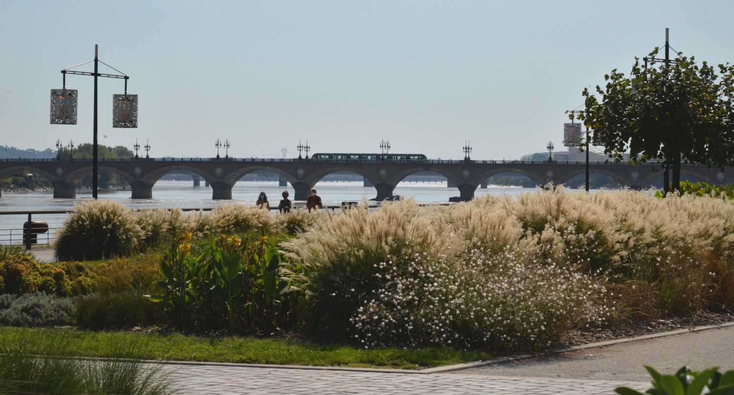 2020 d610 6 078 1 Bordeaux