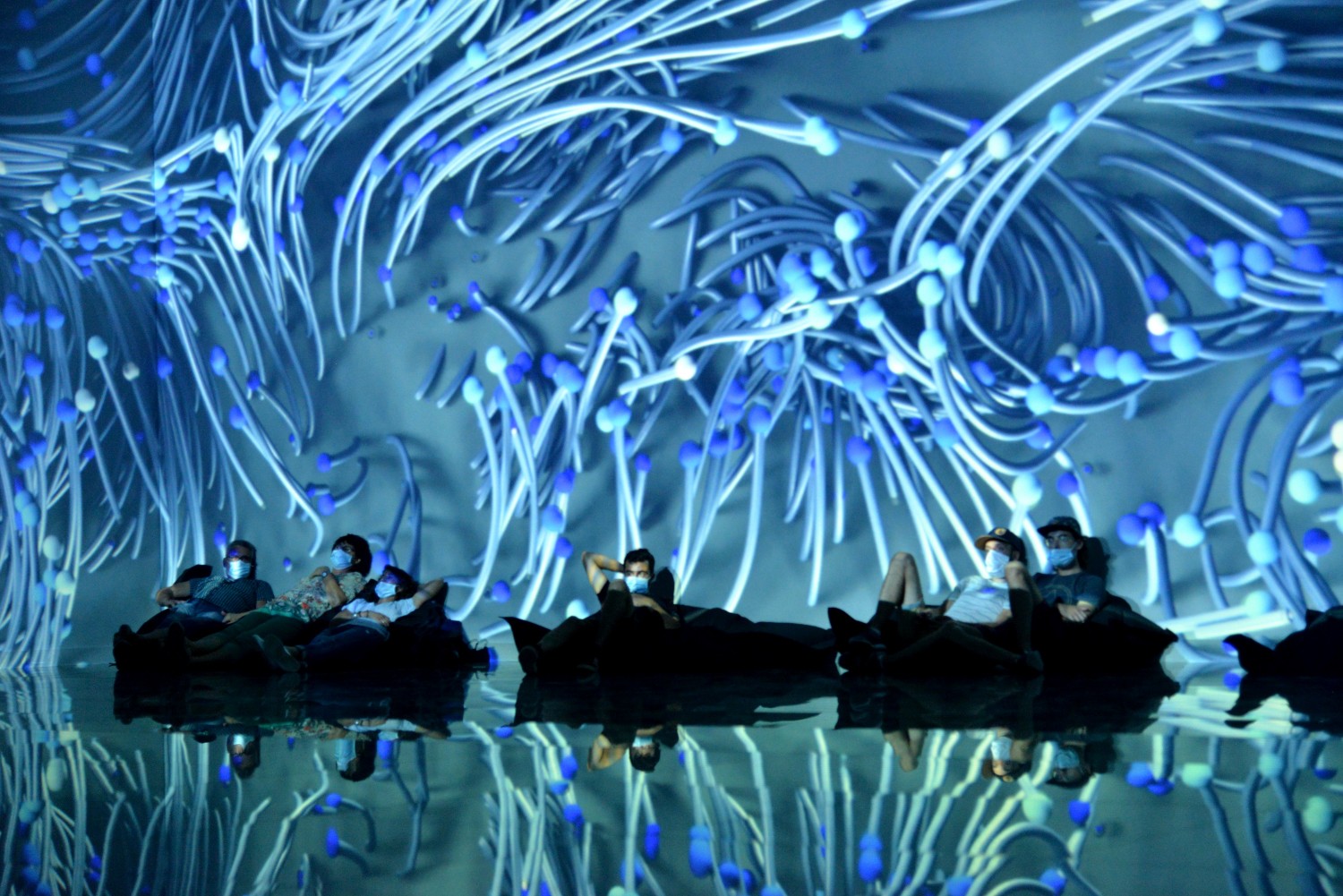 2020 d610 6 234 1 art bordeaux anitya ocean data 01