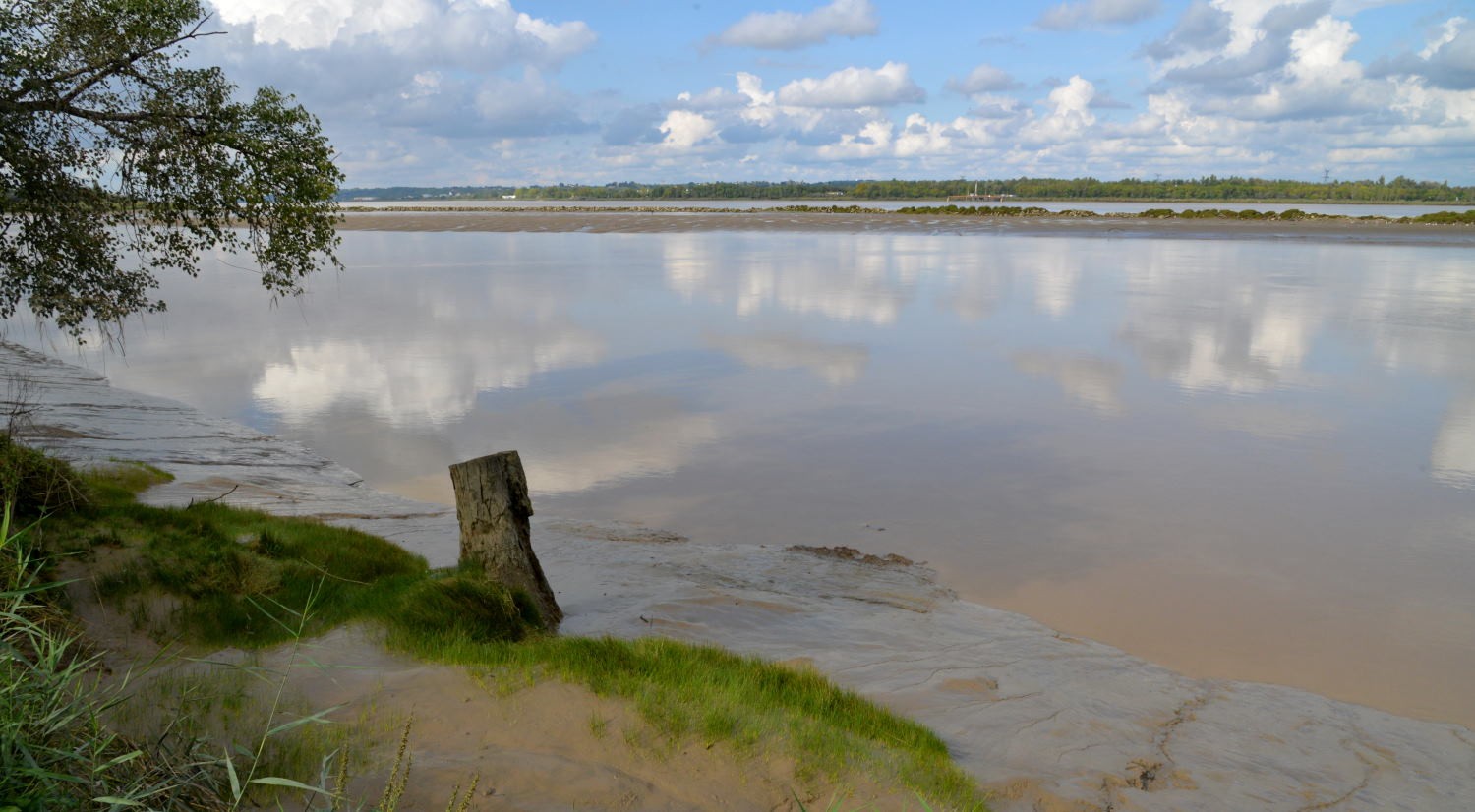 2020 d610 8 002 1 gironde