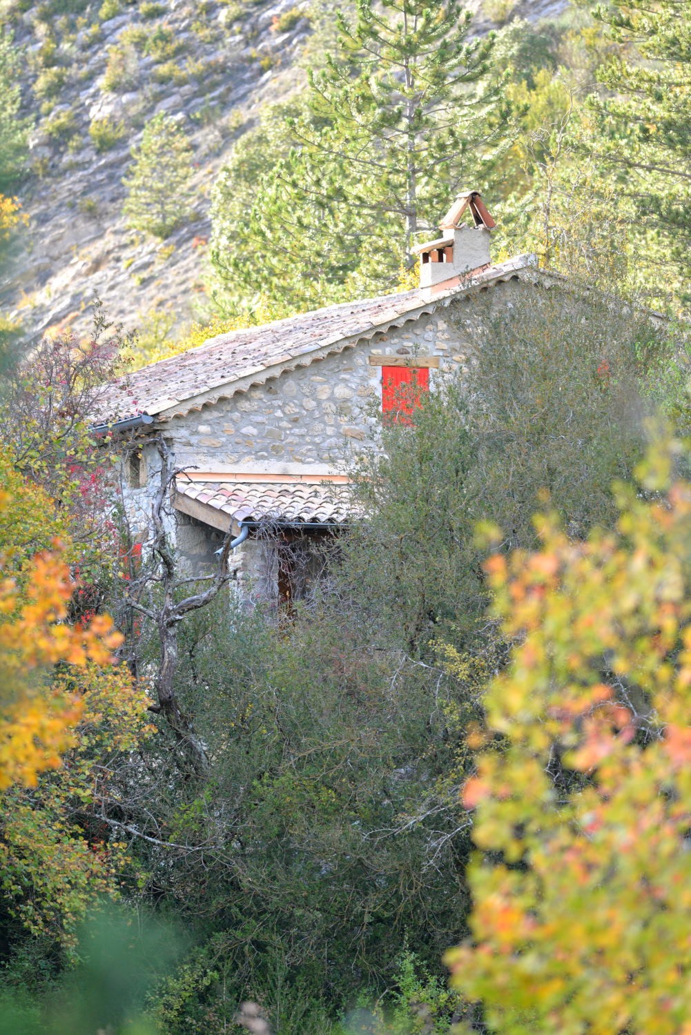 2020 d610 8 113 1