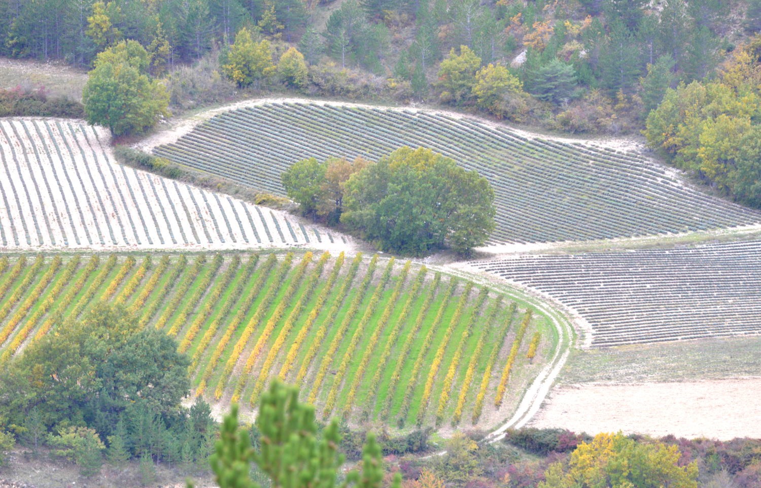 2020 d610 8 127 1 vallee de l ennuye