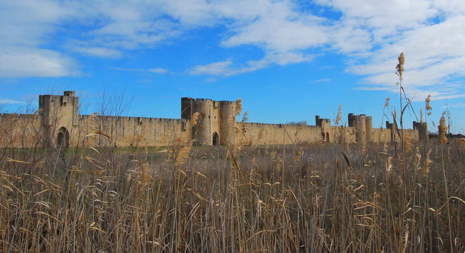 2021 d60 1 129 1 aigues mortes