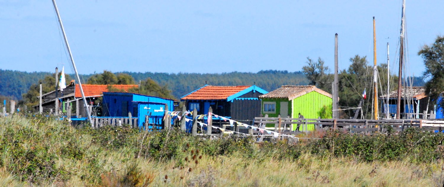 2021 d60 3 011 1 Mornac-sur-Seudre