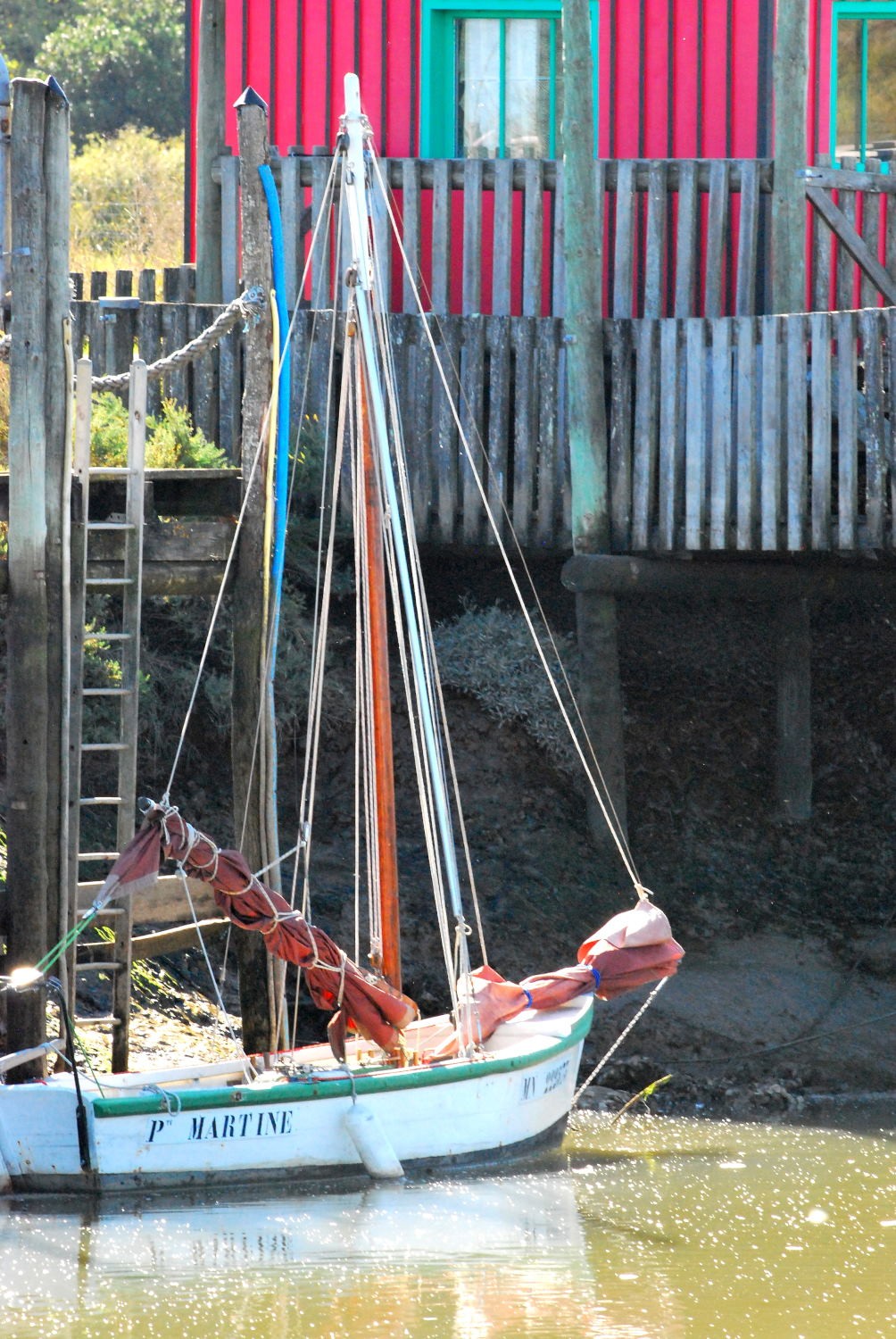 2021 d60 3 016 1 Mornac-sur-Seudre