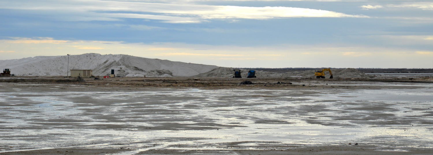 2021 d610 1 273 1